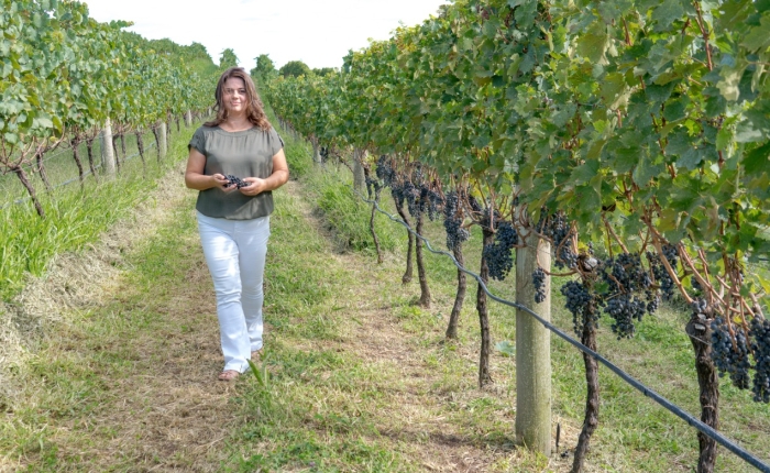 Candidatas terão palestra sobre Noções Básicas de Vitivinicultura