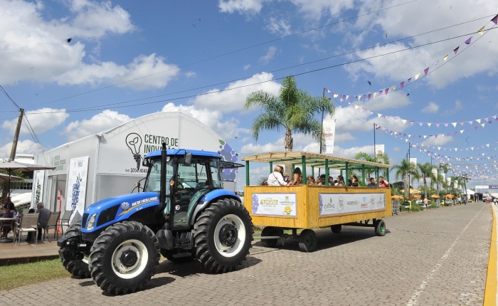 Festa da Uva 2019: últimos dias para viver esta experiência