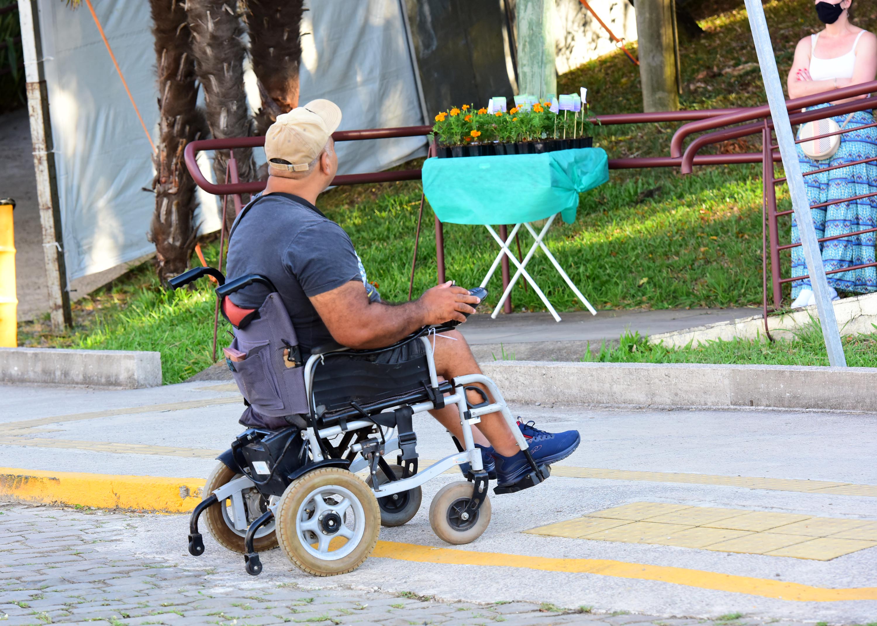 Festa Nacional da Uva 2024 - Caxias do Sul - RS te espera para Explorar  caminhos e Descobrir lugares!