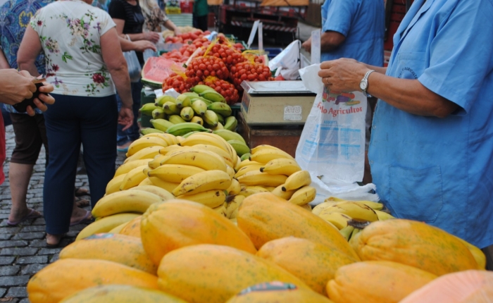 Festa das Colheitas celebra Caxias do Sul como maior produtor de hortifrutigranjeiros do Estado