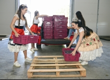 Convidadas a conhecer o processo de armazenamento das frutas, rainha e princesas ajudaram a descarregar algumas das primeiras caixas. Foto: Ícaro de Campos