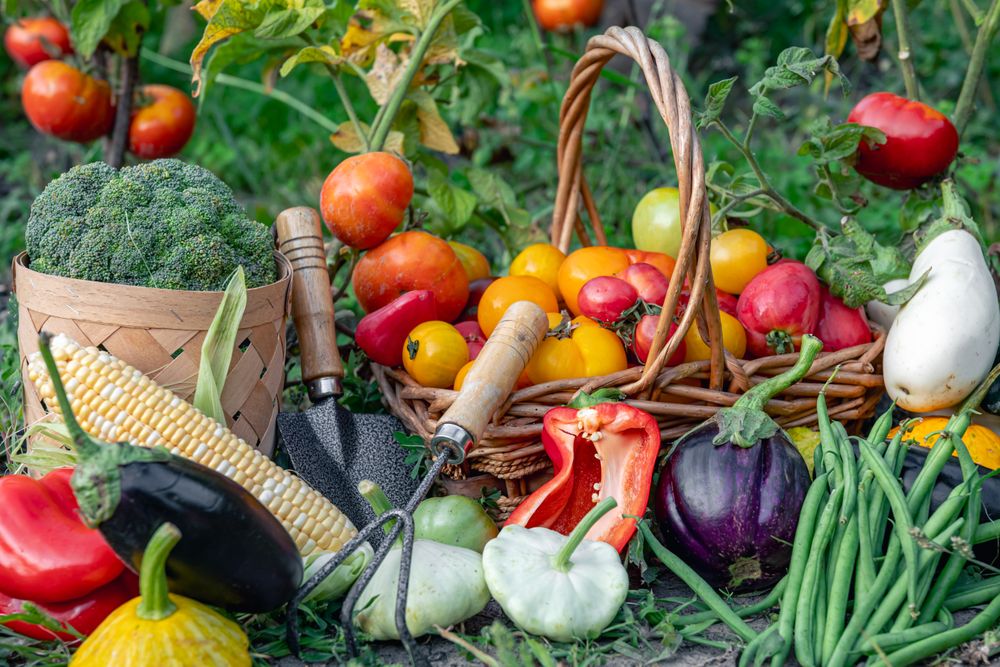 A 7ª edição do Horti Serra Gaúcha está marcada para o primeiro semestre de 2025